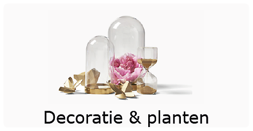 Decoratie & Planten